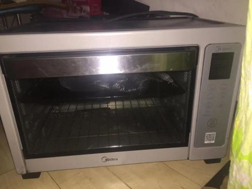 这些年买过却没用几次的家用电器，你家也有同款吗？